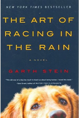 THE ART OF RACING IN THE RAIN (PAPERBACK)