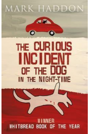 THE CURIOUS INCIDENT OF THE DOG IN THE NIGHT TIME PB A FORMAT
