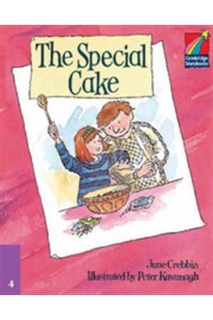THE SPECIAL CAKE